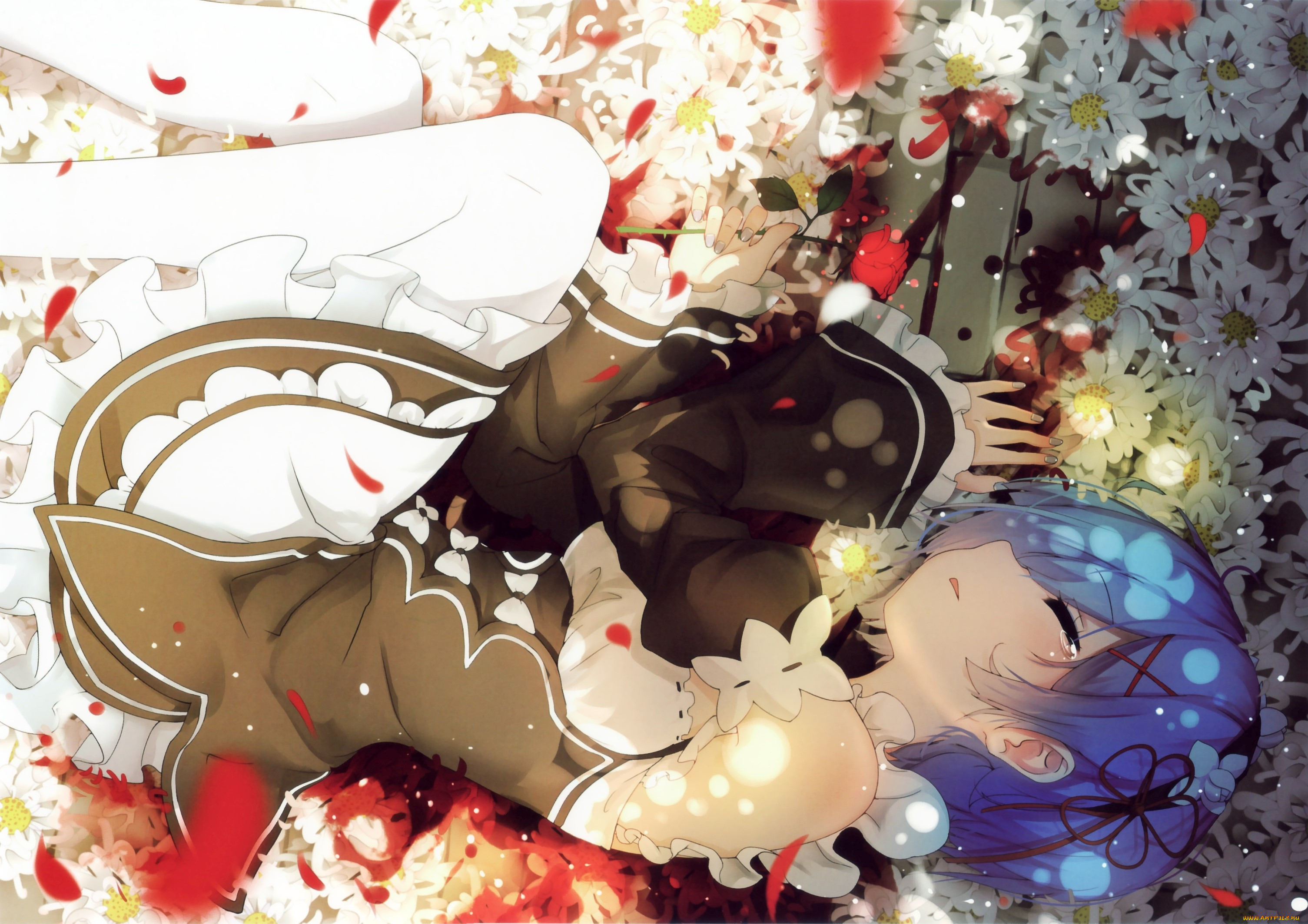 , re,  zero kara hajimeru isekai seikatsu, rem